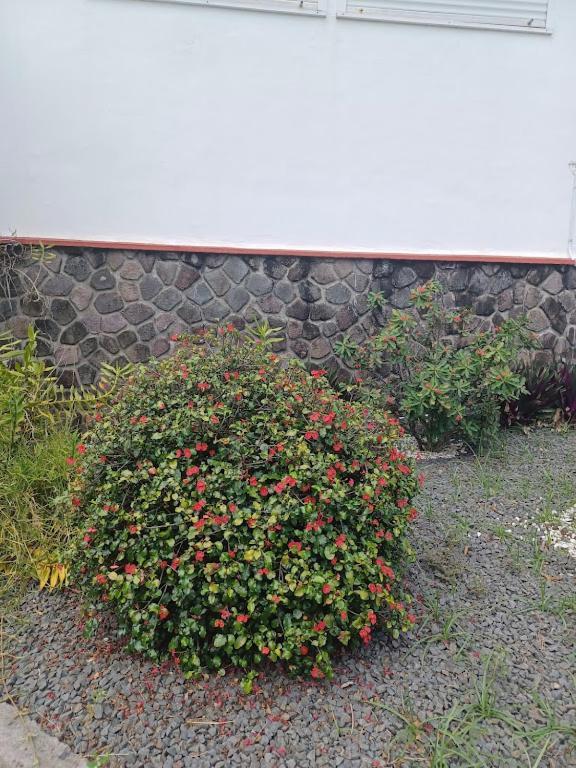 Villa Ti Bijou Baie-Mahault Exterior foto